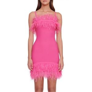 STAUD DRESS